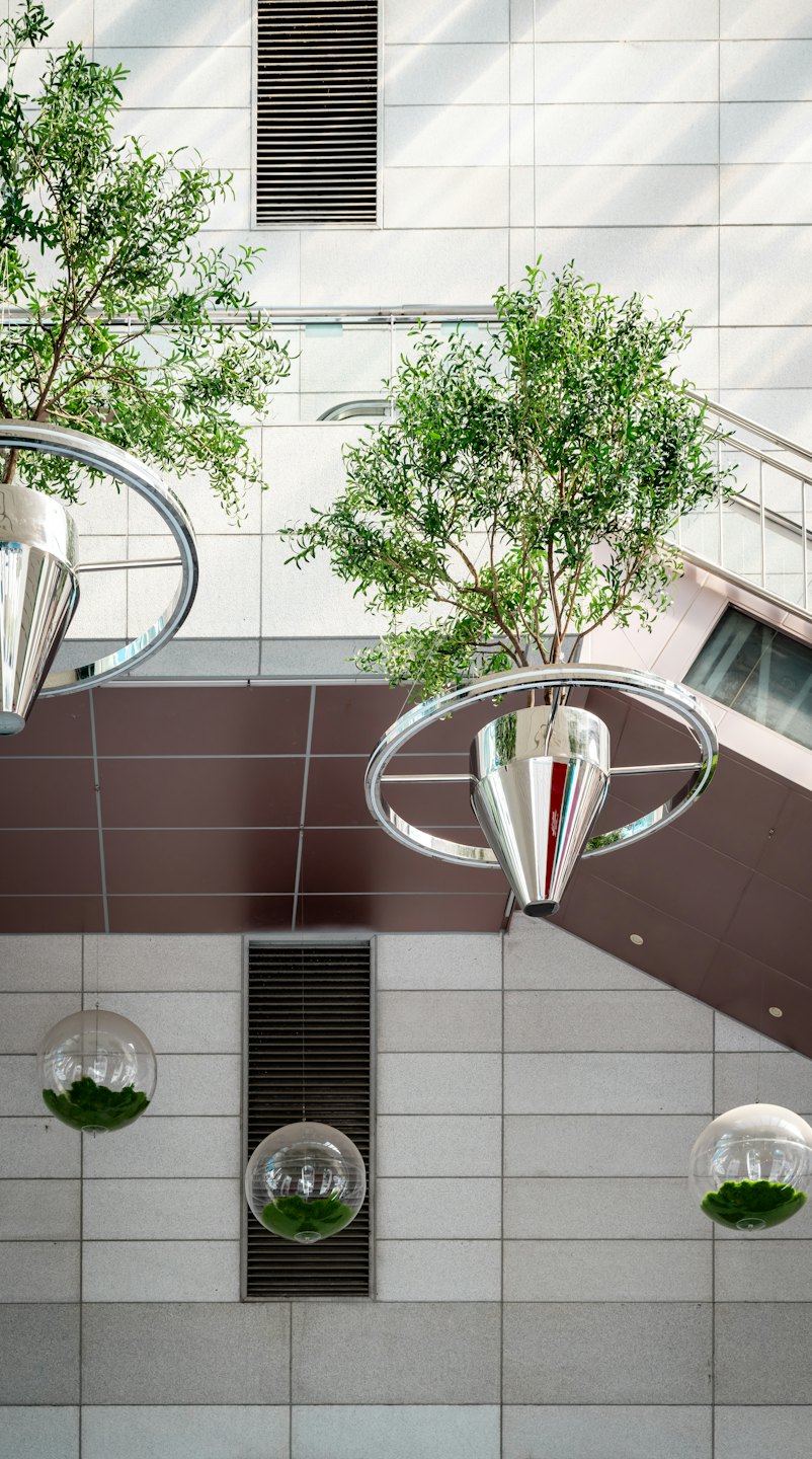 Interno di un edificio moderno con alberi sospesi e terrari sferici di muschio.